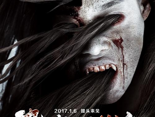 波兰护照假的多少钱